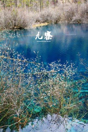男朋友很喜欢听《青雪故事》,是做什么的呀?——你的全方位有问必答平台