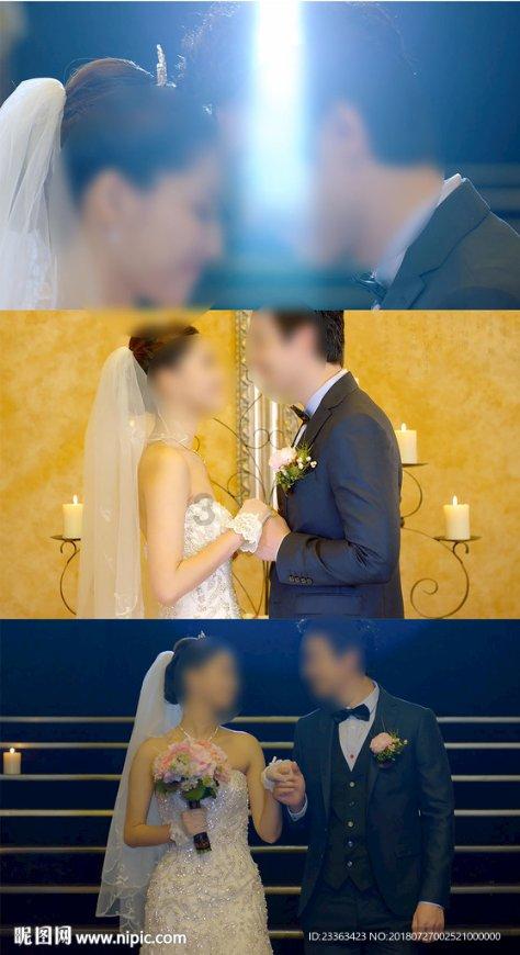 救援受困的鬃狼