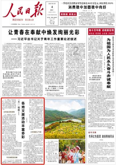 寂静森林找星星